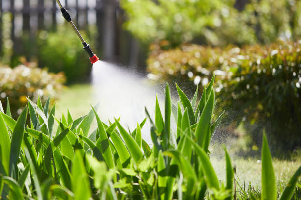 24/7 Emergency Mosquito Control experts in Willow Grove, TX